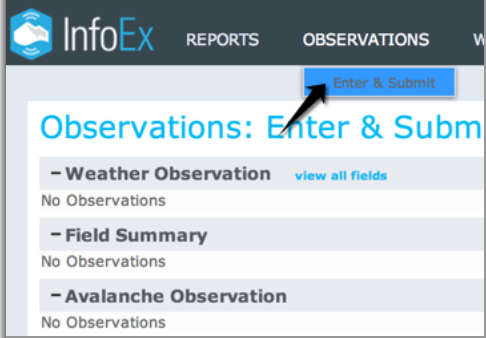File:SelectObservationEnter.png